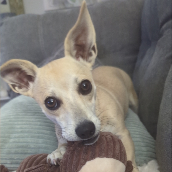 Meet Your Posher! ☀ - Picture 6 of 8